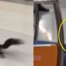 대륭3호 이미지