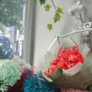 플라워천국 이미지