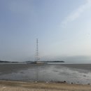 선창회집 | 제부도 조개구이 맛집 야자숯 향 가득했던 선창회집 대만족 후기