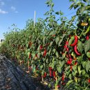 재희농장 이미지