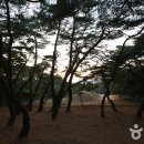 배동삼릉 이미지