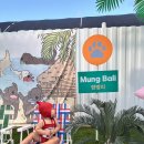 벌곡 멍발리 이미지