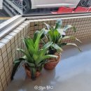 국채보상로151길 | 대구 동인동 맛집 쌀마저 특별한 커리큘럼 카레 솔직후기