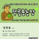 소중농장 | 무릉용농장 택배마감 D-7‼️🍊(25일까지 주문가능)