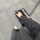 캐리짐 | 제주도 뚜벅이여행 캐리어탈출 짐배송 짐캐리 재이용후기