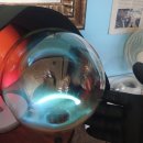 하늘색꿈 이미지