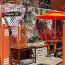 오렌지 애견카페 이미지