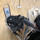 호주여행_아시아나 OZ602 탑승후기, 인천공항 크린업에어 후기