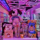 인형뽑기뽑아보세 | 역곡역 인형뽑기 성지 투어 2탄 가는 곳마다 뽑은 후기와 꿀팁 (뽀끼오, 블링팝, 대빵인형뽑기)