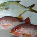 자유로레저낚시터 이미지