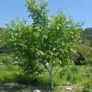 덕곡농장 이미지