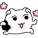 등촌회집 이미지