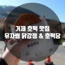 유자썸 이미지
