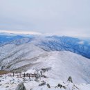 제587차 정기산행안내...(26.01.18)눈꽃으로 가득한 세상 겨울 왕국 무주 덕유산 갑니다. 이미지