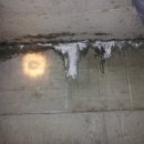 동정리 현대아파트 이미지