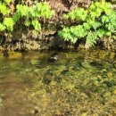 수산하늘풍경