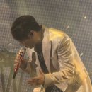 단콘 하이라이트 짤모음 1탄 이미지