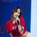 다솜 이미지