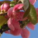 흥덕11단지 경남아너스빌 이미지