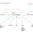 Jakub Zdebik Re: mapping cartograph cartography vs representation 이미지