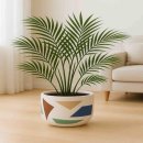 모던레시피 이미지