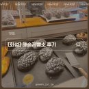 해솔농원 | [화성] 해솔제빵소 — 소금빵부터 치즈앤치즈까지, 빵 폭식하고 온 내돈내산 후기🥐