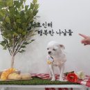 뭉쓰살롱 이미지