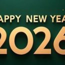 동해시-8 이미지