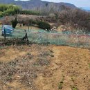 평장농장 이미지