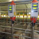 종환농장 이미지