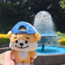 삼남매농원 - 공주시 중장삼거리길 4-2 | [엔진로그] 엔진끼리 거제 야호 🩵 외치고 옴