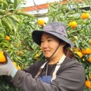 김복희농장 이미지