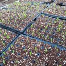 옥수농산 이미지