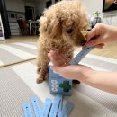 이도메디 이미지