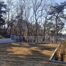 우정매향 이미지