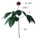 청아한약국 이미지