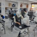 종로애견미용 이미지