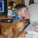 동양라파크 강아지의 기도.. 이미지
