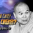 윤회논란에 대한 성철스님의 대답은? 이미지