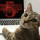 다리간길 | 드디어 내 여권에도 다른 나라의 도장이… <부다페스트에 가다(1)>