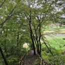 팔봉초등학교 이미지