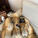 명품 마스터 크리닝 | FENDI 폭스 퍼 재킷 | 1925년, 로마에서 시작된 럭셔리의 전설, 펜디가 완성한 궁극의 퍼 마스터피스