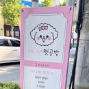 여니네 펫공방 이미지