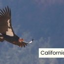 하늘가축병원 이미지