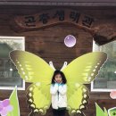 연제구 환경자원관리소 이미지