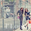 크리스탈 이미지