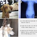 참사랑동물병원 이미지