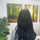 초코숲헤어