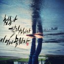 청춘오리 이미지
