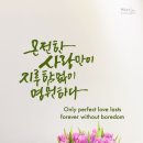 (주)화목